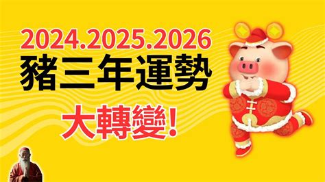 屬豬今年運勢|2024年豬年運勢：你的個人成長